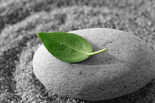 5 chữ 'Đừng' đáng ghi nhớ trong cuộc sống
