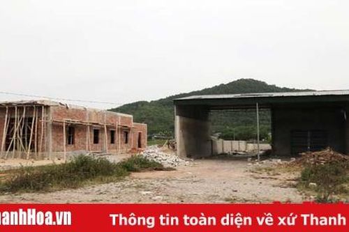 Tăng cường công tác quản lý quy hoạch, trật tự xây dựng trên địa bàn huyện Tĩnh Gia