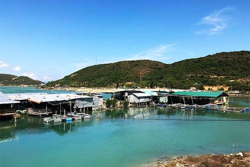 Nhà bè tự phát ở Ninh Hải