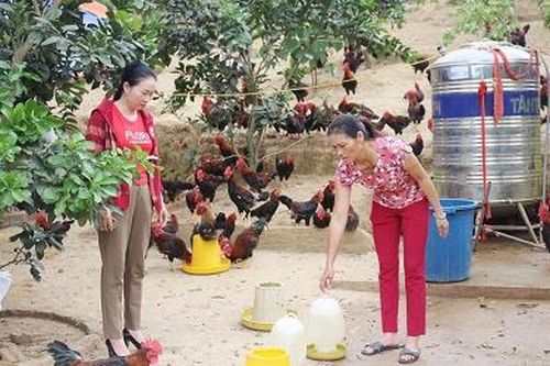 Hỗ trợ sinh kế cho phụ nữ dân tộc thiểu số: Khơi dậy ý chí thoát nghèo