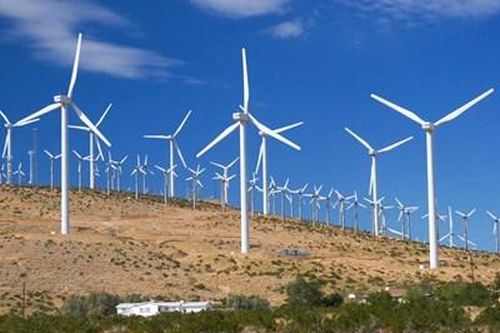 Kenya ra mắt trang trại điện gió lớn nhất châu Phi