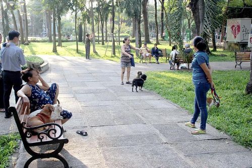 Bất hòa vì nuôi chó