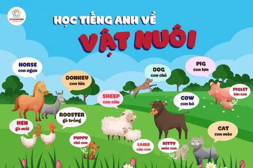 Háo hức chờ đợi chương trình 'Trại hè Thiên tài nhí STEM 2019'