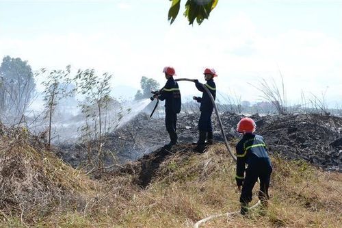 Khống chế cháy rừng, vận hành an toàn đường dây truyền tải điện