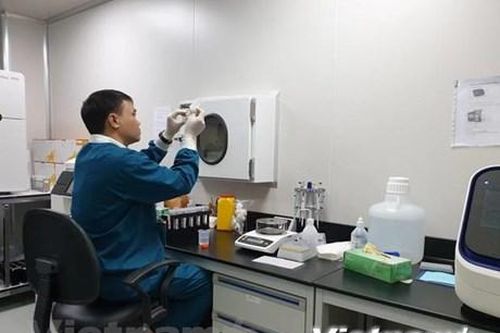 Giải mã gene phát hiện nguồn gốc người Việt