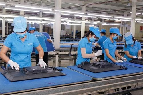 Báo cáo Thủ tướng kết quả vụ Asanzo trước ngày 30-7
