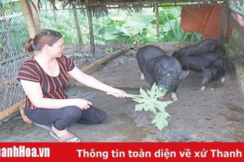 Khó khăn trong việc bố trí việc làm cho người dân bị thu hồi đất sản xuất