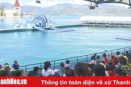 Sôi động các tour du lịch hè