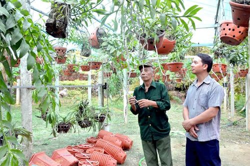 Từ nông thôn mới đến nông thôn mới nâng cao