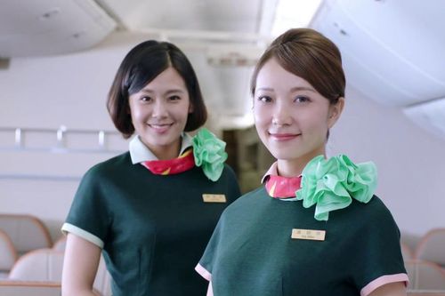 Eva Air lại bay từ Tân Sơn Nhất sau loạt chuyến bị hủy vì tiếp viên