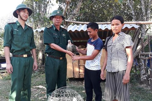 Khám, cấp thuốc miễn phí và tặng gà giống cho đồng bào Rục