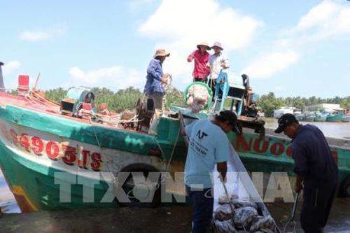 Người dân Bình An, Kiên Giang đang ngày đêm đối mặt với ô nhiễm