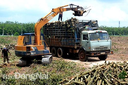 Chuẩn bị bàn giao mặt bằng cho hai khu tái định cư