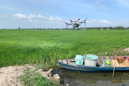 Hợp tác xã nông nghiệp nhập cuộc 4.0