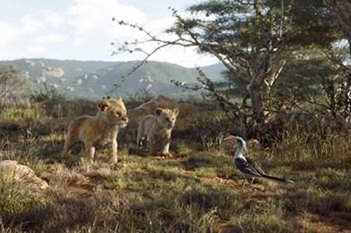 Soán ngôi 'Spider-Man', 'The Lion King' giành ngôi vương phòng vé Bắc Mỹ