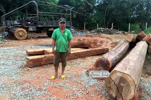 Bắt giữ gần 7m3 gỗ lậu