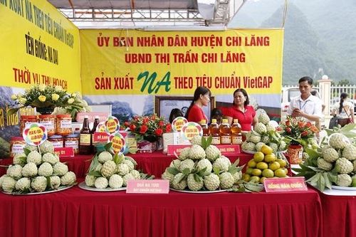 Lạng Sơn: Sắp diễn ra ngày hội na Chi Lăng