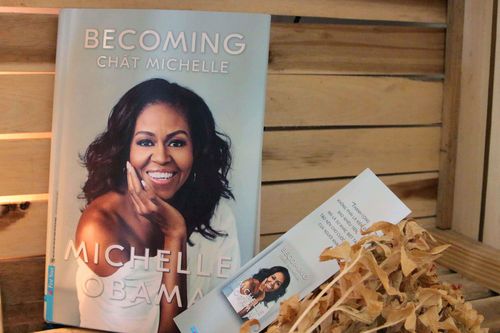 'Chất Michelle' - cuộc đời cá nhân và những khoảnh khắc lịch sử nước Mỹ
