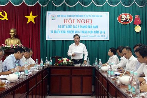 Thành lập mới 18 hợp tác xã