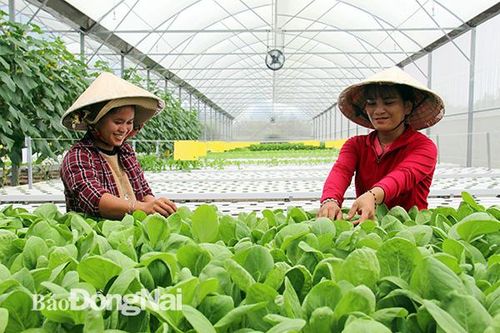 Còn thiếu hàm lượng công nghệ cao