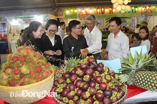 Lúng túng làm du lịch vườn