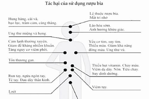 Sử dụng rượu bia ở mức nguy hại và hậu quả