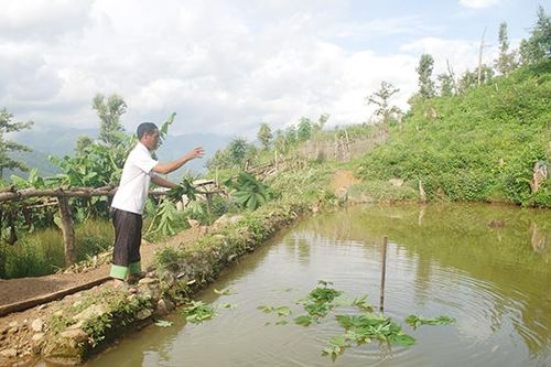 'Cánh chim đầu đàn' trên đỉnh Lạng Xi Sang