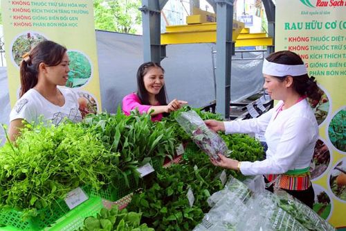Phát triển cửa hàng rau, quả sạch ở ngoại thành: Chuẩn bị kỹ để đạt hiệu quả