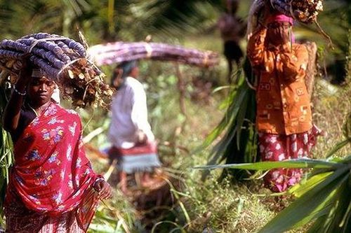 Lạ lùng những ngôi làng của phụ nữ không có tử cung