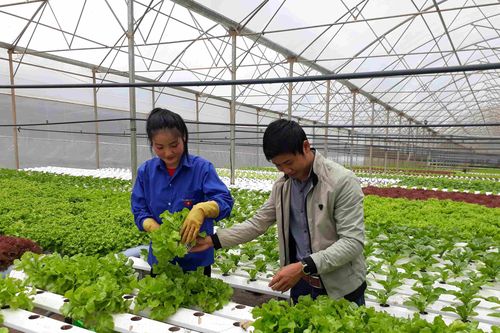 Kéo doanh nghiệp về với tam nông