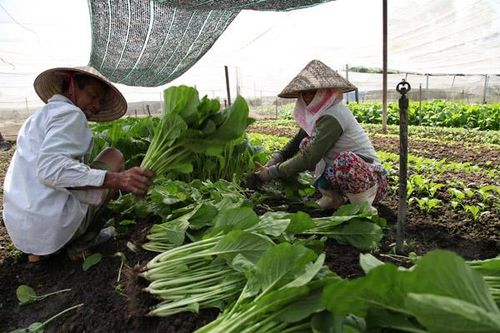 Huy động nội lực để giảm nghèo bền vững - Bài 2: Kỳ vọng giảm nghèo bền vững