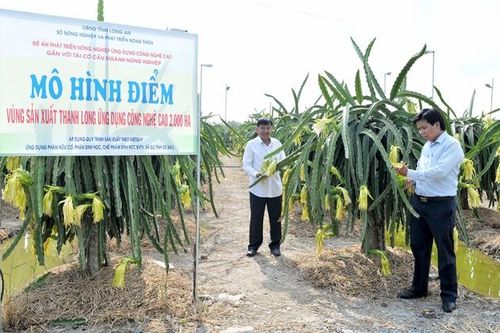 Bắc Ninh tăng cường kiểm tra việc thực hiện nghị quyết đại hội Đảng các cấp