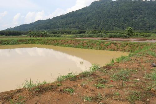 Hai học sinh trượt chân ngã xuống hồ tử vong khi đi bắt ốc