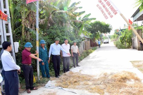 Dịch tả lợn châu Phi tại Nghệ An có giảm nhưng diễn biến vẫn phức tạp