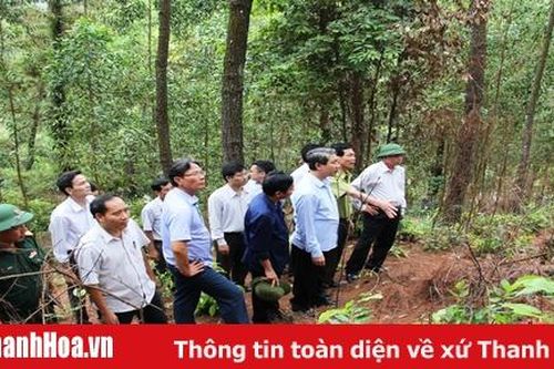 Huyện Hà Trung cần đẩy mạnh hơn nữa các biện pháp bảo vệ rừng, phòng cháy, chữa cháy rừng