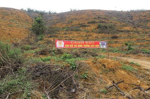 Nghệ An: Lên phương án khẩn cấp bảo tồn đàn voi rừng