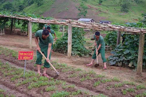 Ðảm bảo hậu cần cho bộ đội