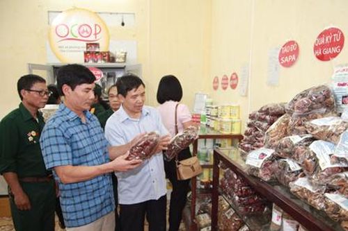 Khai trương cửa hàng trưng bày giới thiệu sản phẩm nông - thủy sản sạch, an toàn
