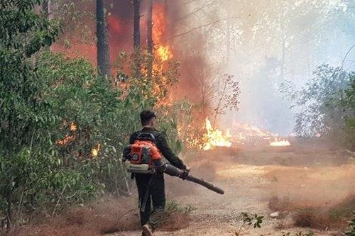 Kinh tế Nông nghiệp - Nông thôn 'Canh lửa' giữ rừng