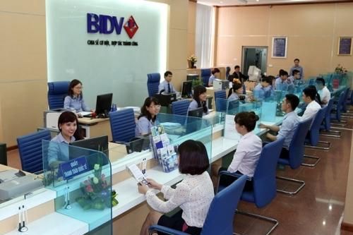 Sửa quy định về chế độ báo cáo thống kê đối với các tổ chức tín dụng