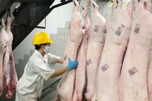 Giá thịt lợn dự kiến sẽ tăng