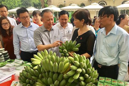 Hà Nội mong muốn các tỉnh, TP chung tay bảo đảm nguồn cung thực phẩm dịp Tết