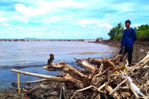 Triển khai ngay các công trình chống sạt lở đê biển ở Kiên Giang