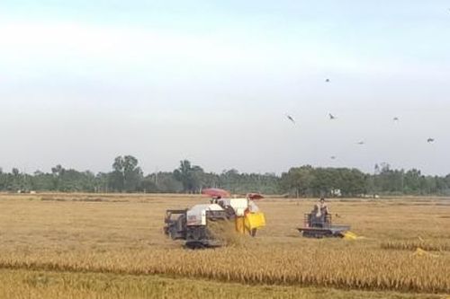 Nông nghiệp vẫn là mũi nhọn và động lực phát triển!