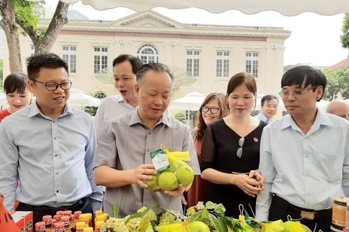 Thủ đô Hà Nội liên kết xây dựng gần 730 chuỗi thực phẩm an toàn