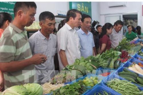 Làm gì để doanh nghiệp và người dân nói không với túi ni lông?
