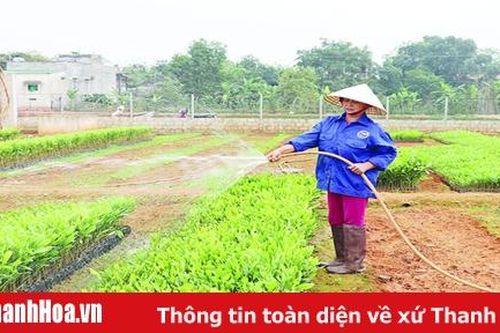 Tăng cường quản lý Nhà nước về giống cây trồng