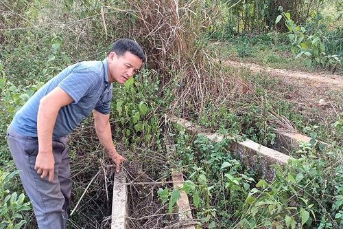 Hàng chục hecta rừng bị phá oan