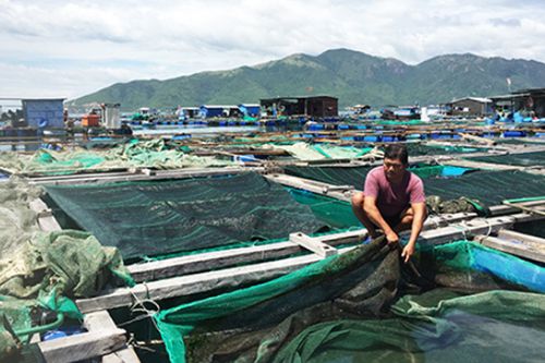 Chú trọng phát triển giống thủy sản