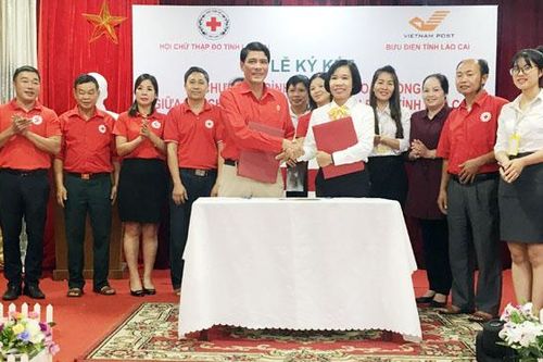 Hội Chữ thập đỏ tỉnh triển khai nhiệm vụ 6 tháng cuối năm